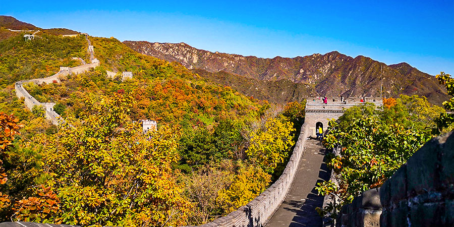 The Great Wall in Autumn